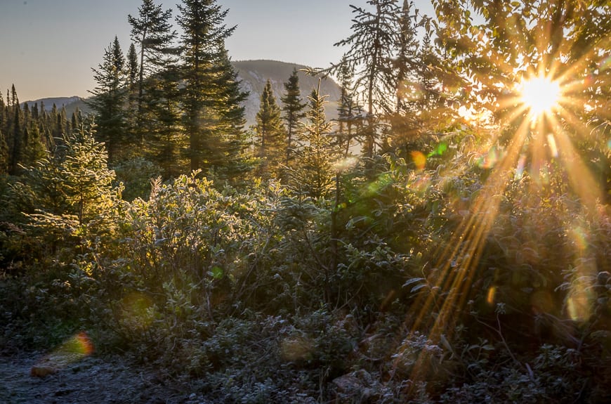 The day started with hoar frost and sunshine