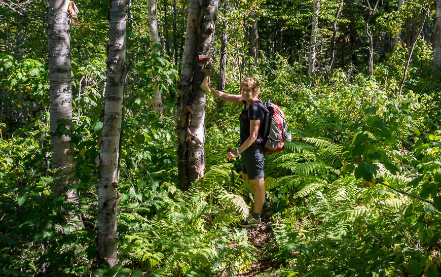  Look for the red and white trail markers to keep you on course