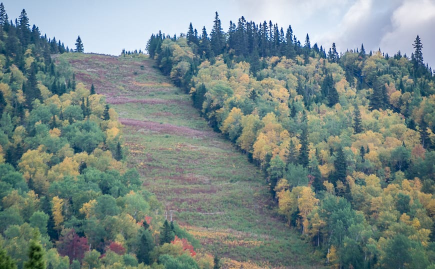 The colours on the ski hill at Mont Grand-Fonds are starting to burst