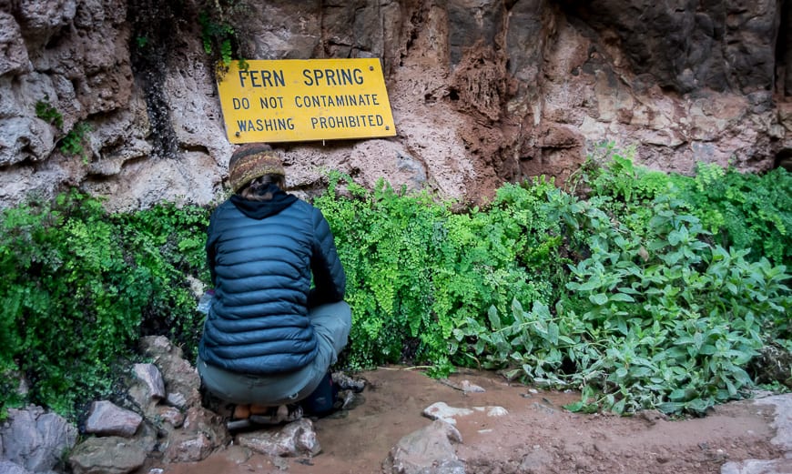 You don't want to camp right beside the freshwater spring or you'll have zero privacy