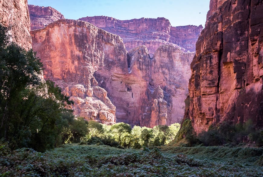 Pinch yourself to make sure the scenery is real on the hike to Havasu Falls