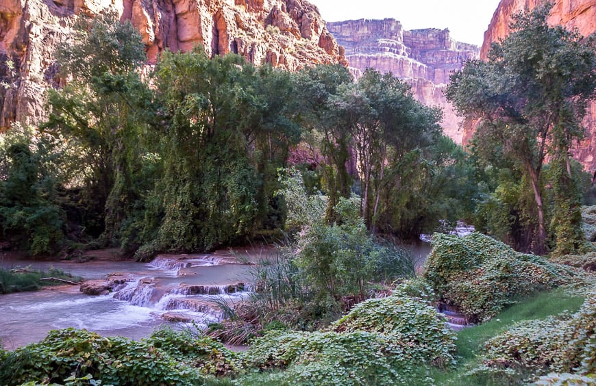 A fantastic hike through Jurassic Park on the way to Beaver Falls