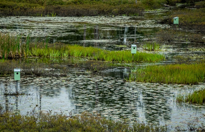 We stopped at a bird sanctuary - with not one bird in sight!