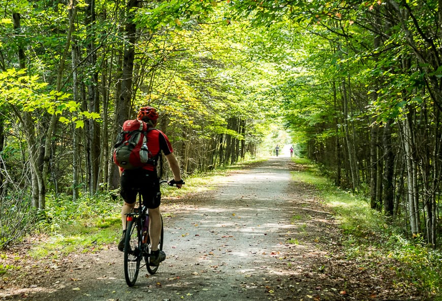 Cycling through a tunnel of green