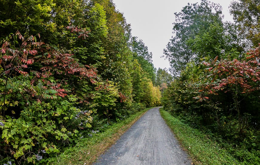 Biking in the Laurentians is pretty in fall