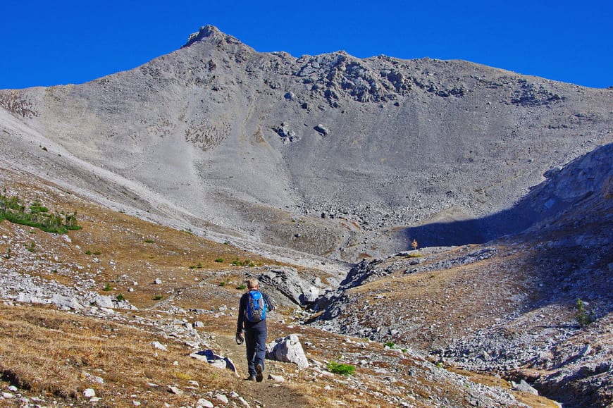 Buller Pass is a moderately difficult hike