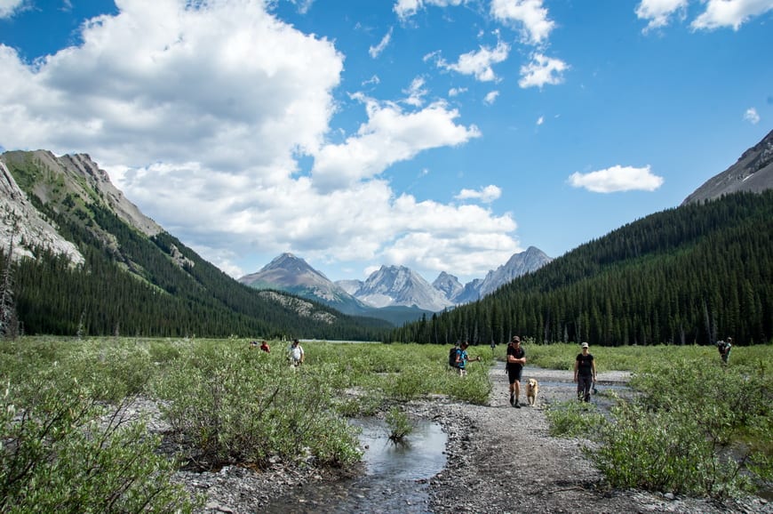 Hiking Alberta: 15 of the Must-Do Hikes