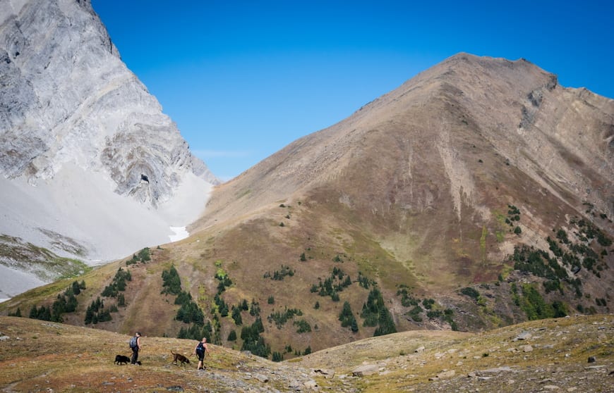 Hiking Alberta: 15 of the Must-Do Hikes