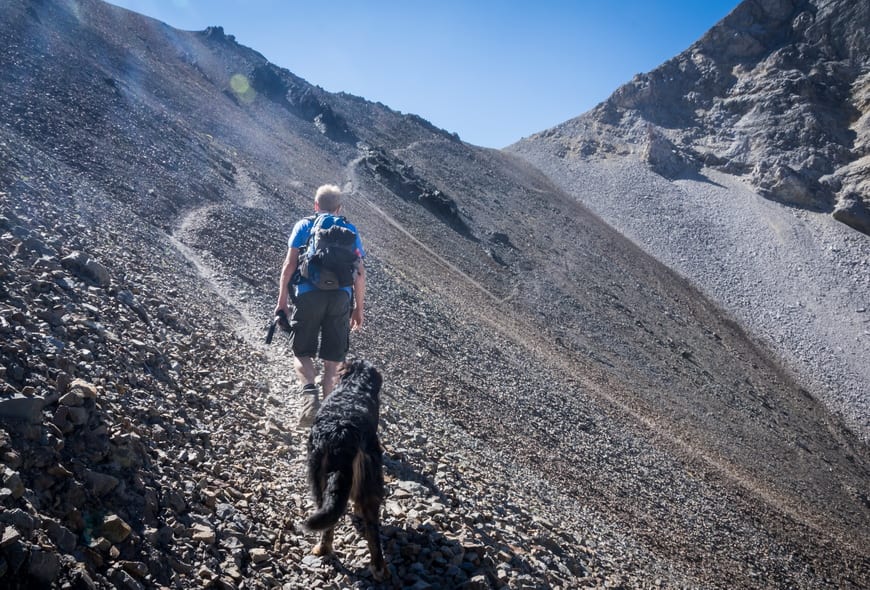 Hiking Alberta: 15 of the Must-Do Hikes