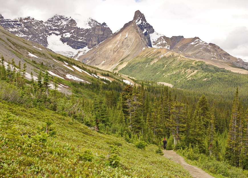 Hiking Alberta: 15 of the Must-Do Hikes