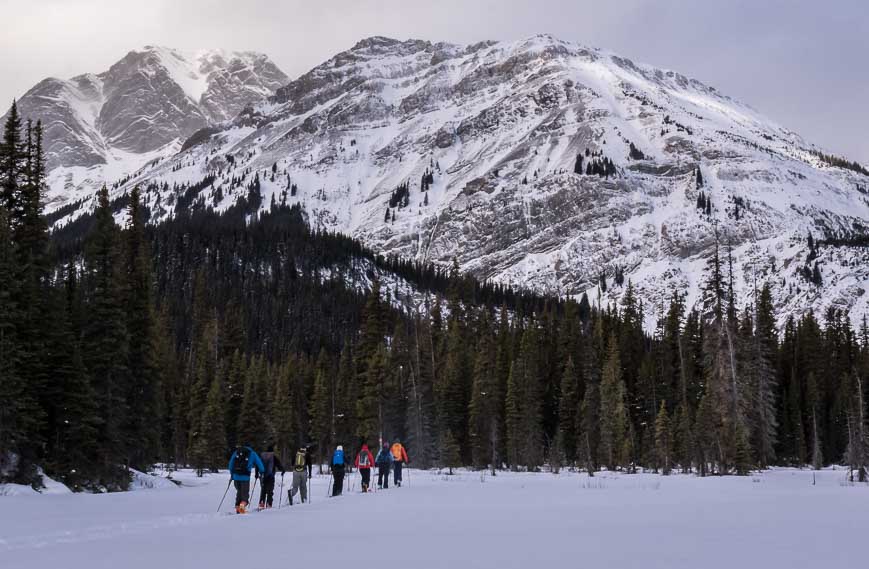 Caught a group from Yamnuska Adventures doing a backcountry ski course