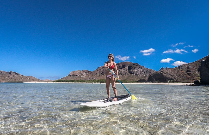 THE 5 BEST La Paz Stand-Up Paddleboarding (Updated 2023)