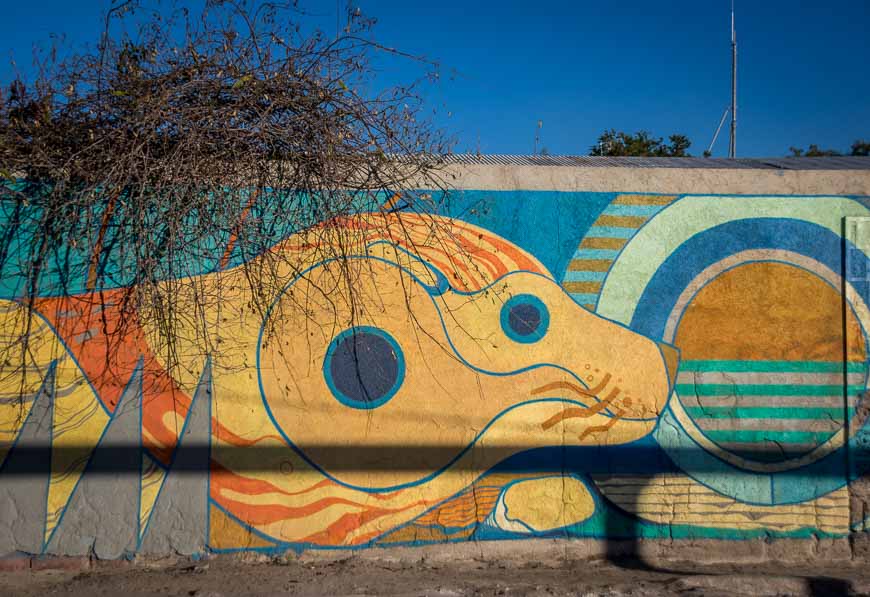 Love this sea lion mural in La Paz, Mexico