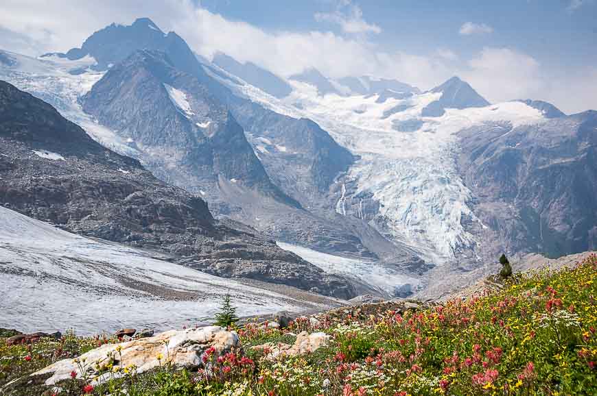 What its Like to Heli Hike in the Cariboos