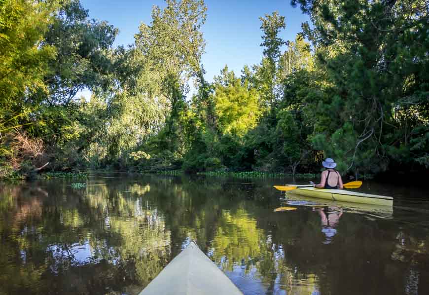 Kayaking in the delta - something you could do as a day trip from Buenos Aires