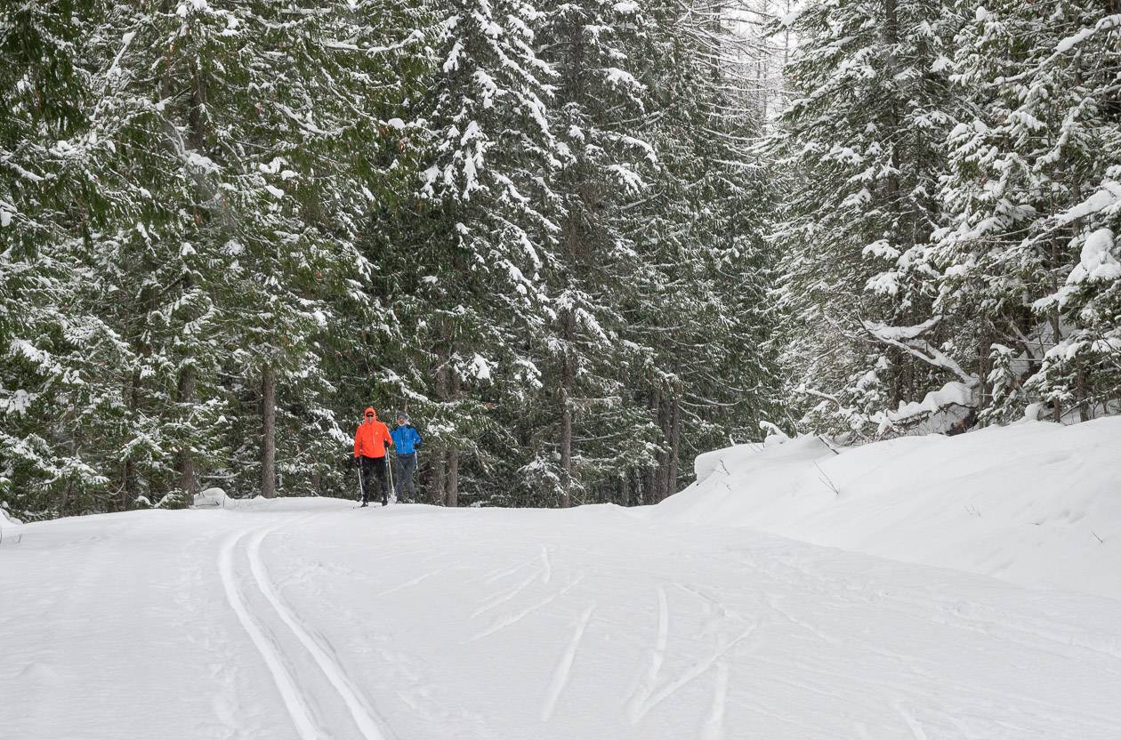 Beautiful skiing at the Fernie Nordic Centre