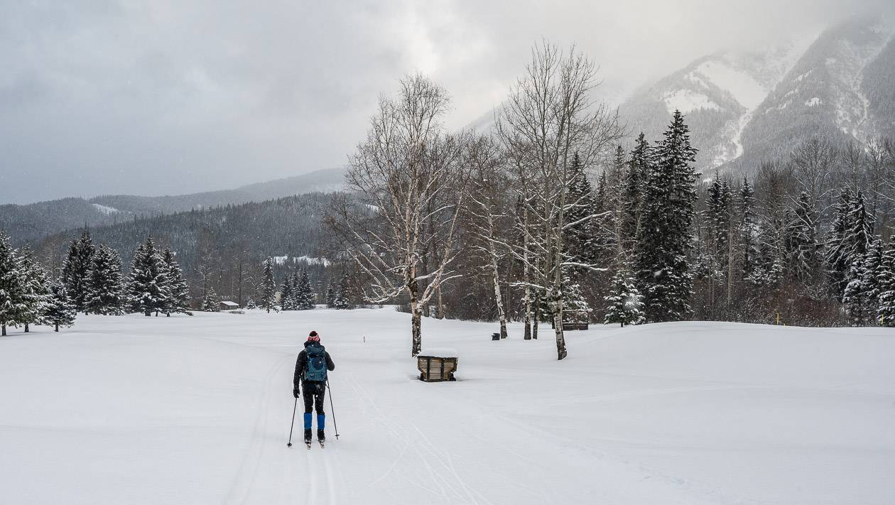 Easy cross-country skiing with some lovely views at the Fernie Golf Club