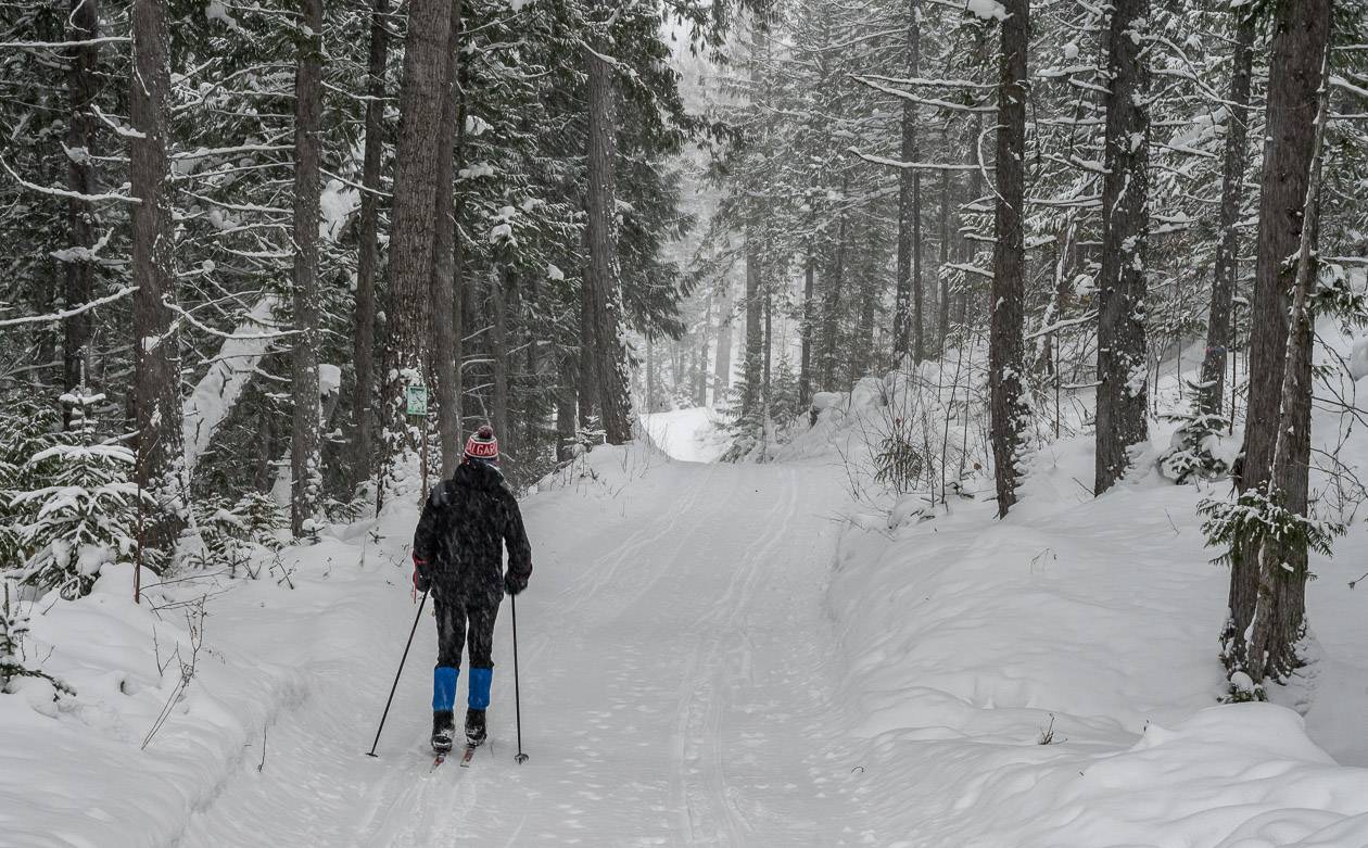 Cross-country skiing the Montane Trails on a very snowy day