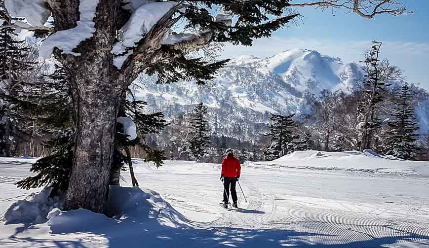 Gorgeous backdrop for skiing