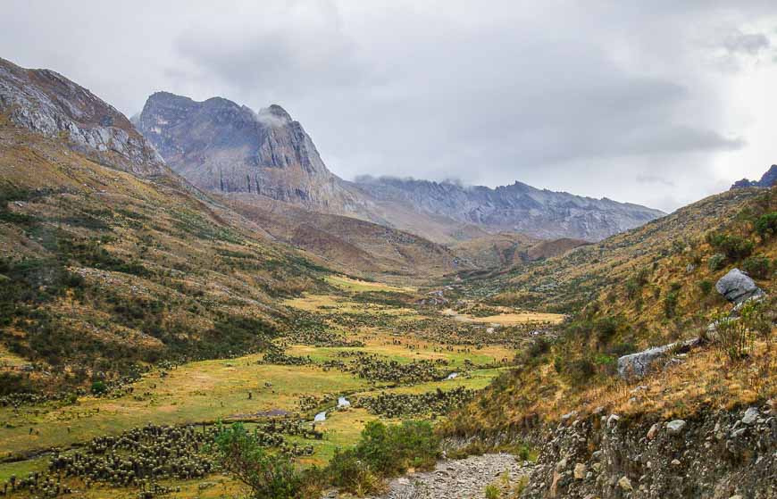 Into the national park now with its wild vegetation