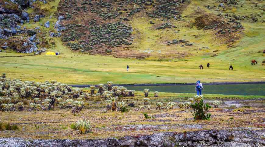 Our campsite was at the bottom of Frailes Pass beside a lake in a land of green