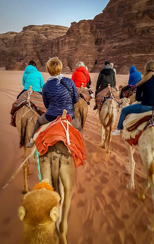 Testing how tough are backsides are on a sunset camel ride in Wadi Rum