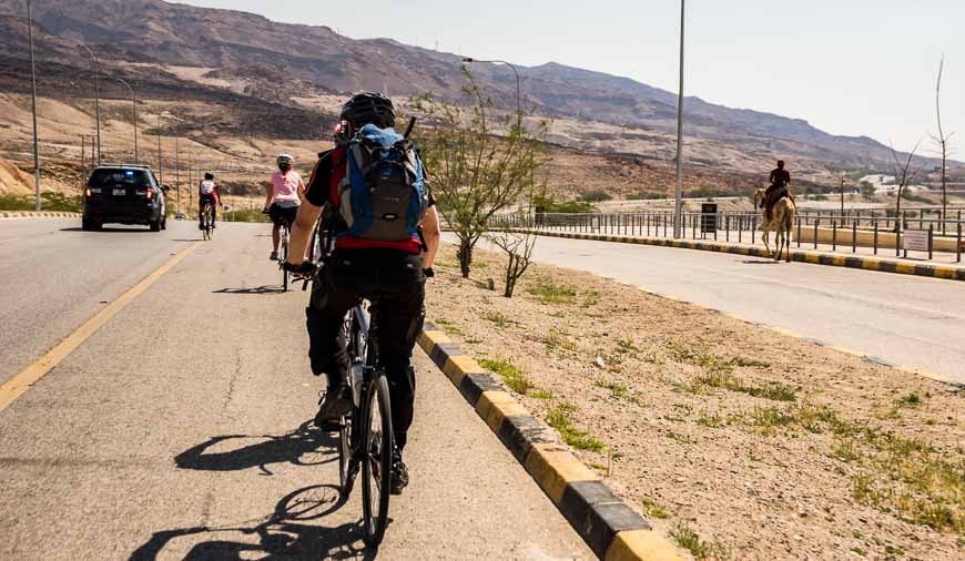 First time I've shared a road on a bike with a camel