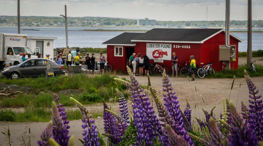 Cape Breton Island lobster pound stop