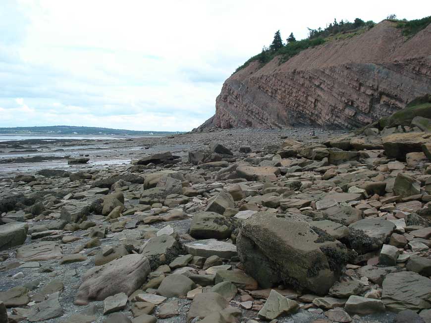 Joggins Fossil cliffs in Nova Scotia