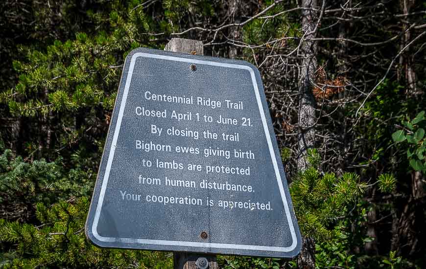 The Centennial Ridge Trail is closed from April 1 – June 21