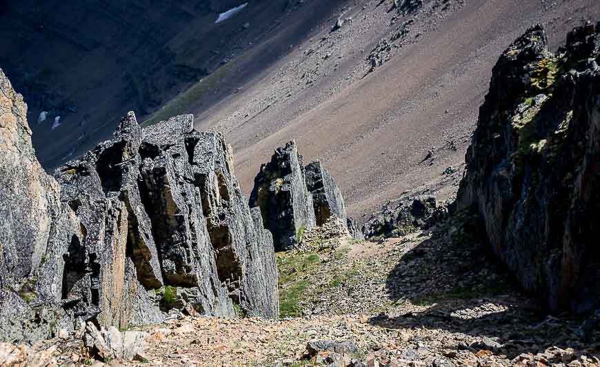 Such a variety of landscapes on the Centennial Ridge hike