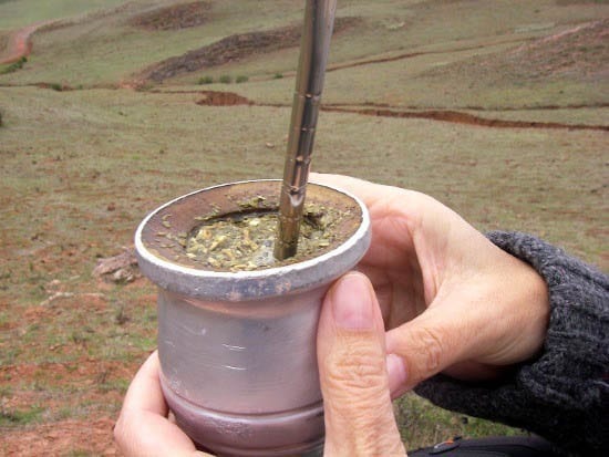 The Argentinian Love Affair With Yerba Mate