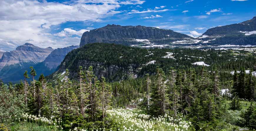 Beautiful mountainscape near Logan Pass