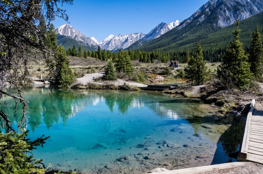 are dogs allowed at johnston canyon