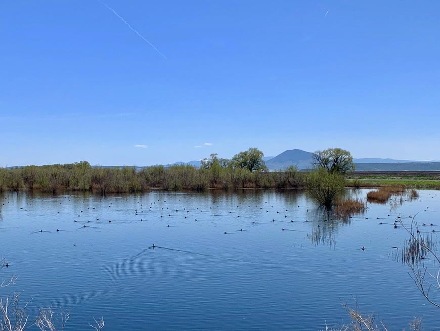 Lower Klamath National Wildlife Refuge