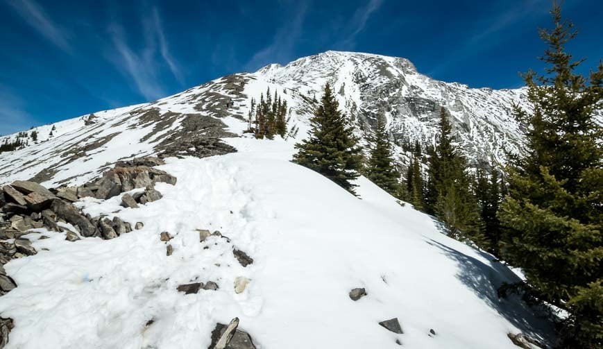 The scrambling part of the Lady McDonald hike looks very doable in snow