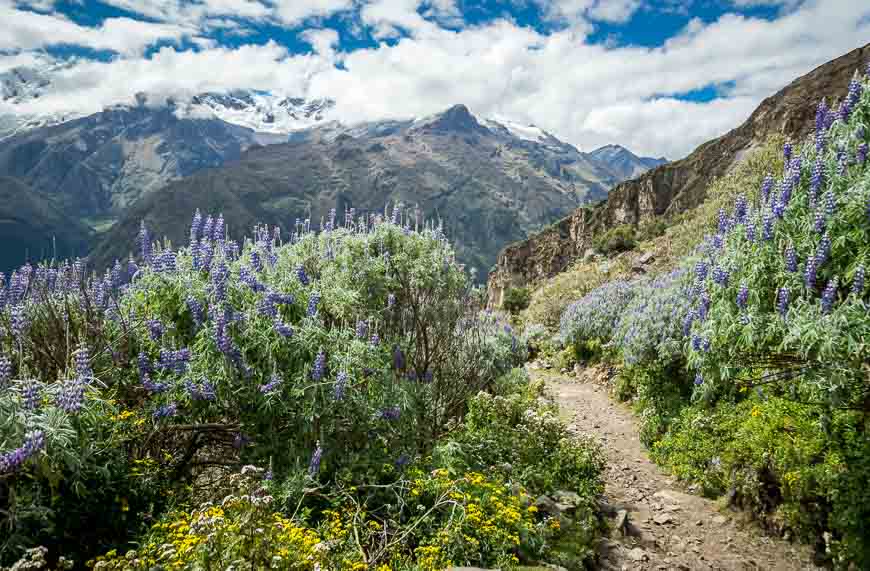 The backside of the pass was like walking was like walking through a botanical garden