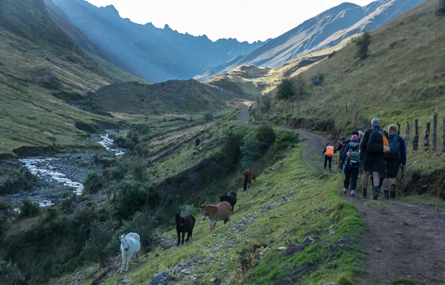 Day 6 on the Choquequirao trek starts off more easily than most days