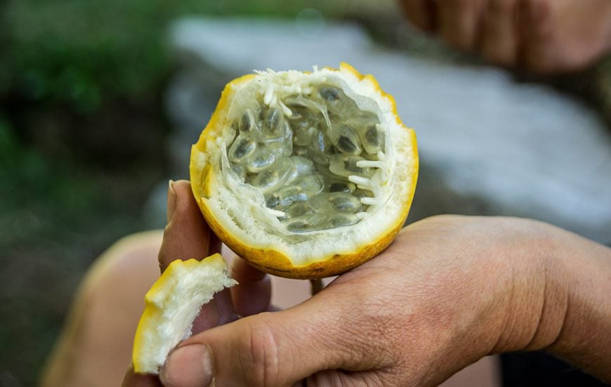 Break time now included freshly picked passion fruit