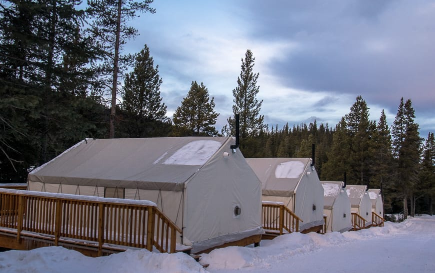 The glamping tents at Mount Engadine Lodge
