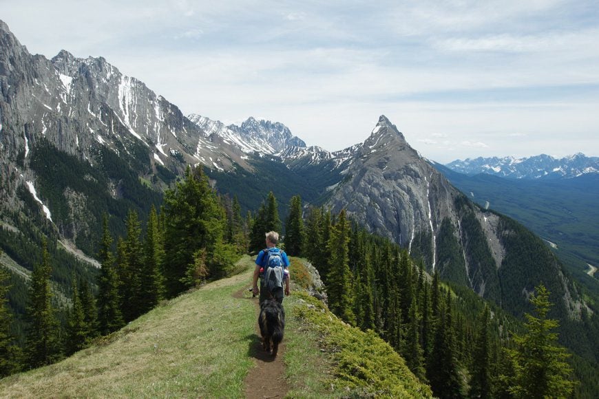 King Creek Ridge - one of the best Kananaskis trail hikes for a ridge walk