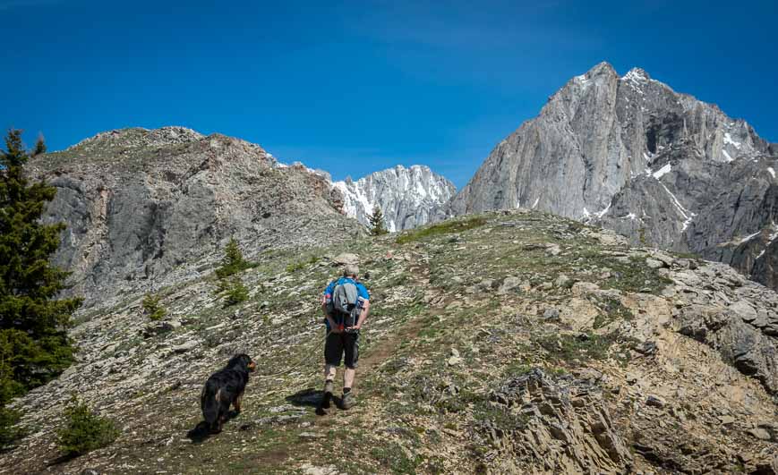 The last part of the King Creek Ridge hike 