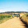 Hikers walking a dusty road on the Camino