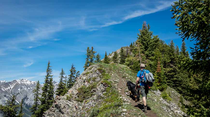 An easy to follow trail along the ridgeline