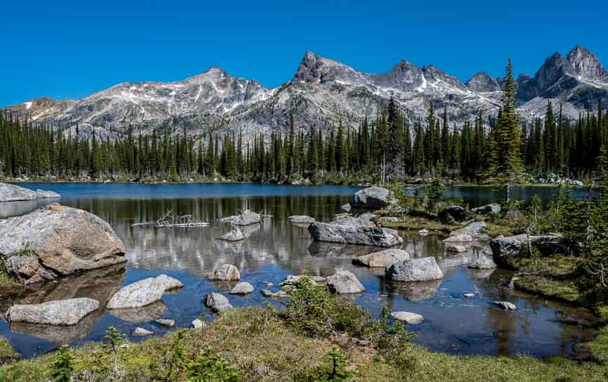 Drinnon Pass campsite in Valhalla Provincial Park