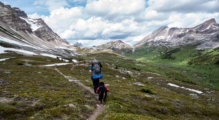 A lonely trail heading for Pipestone Pass in Banff National Park