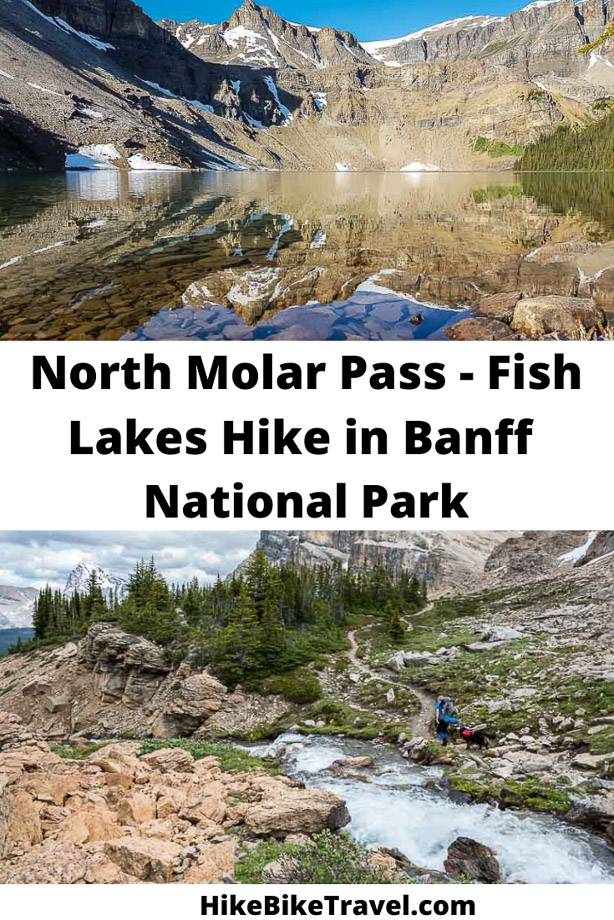 The North Molar Pass Fish Lakes backpacking trip in Banff National Park
