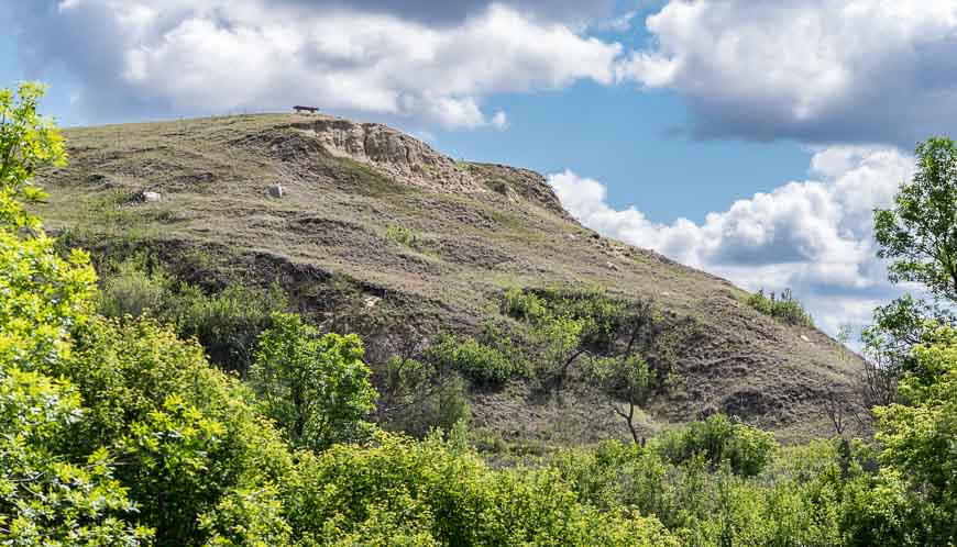 Looking up to a bench with a view over the South Saskatchewan River