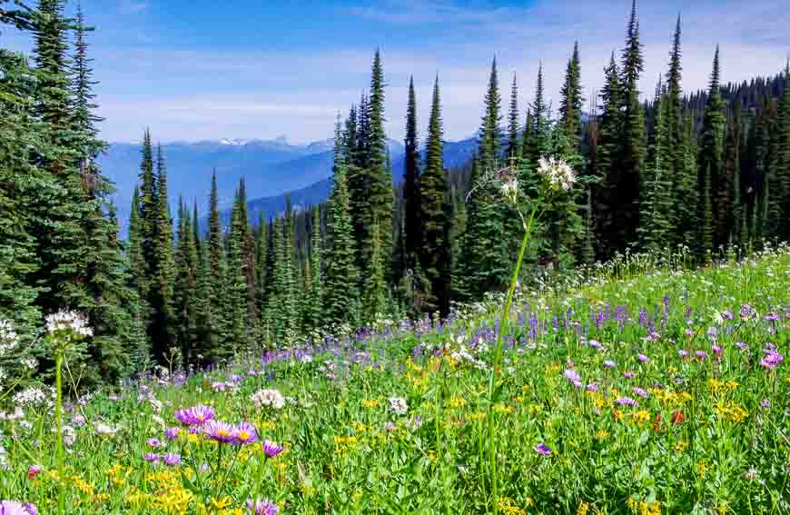 The Eva Lake hike is one of the things to do in Revelstoke 