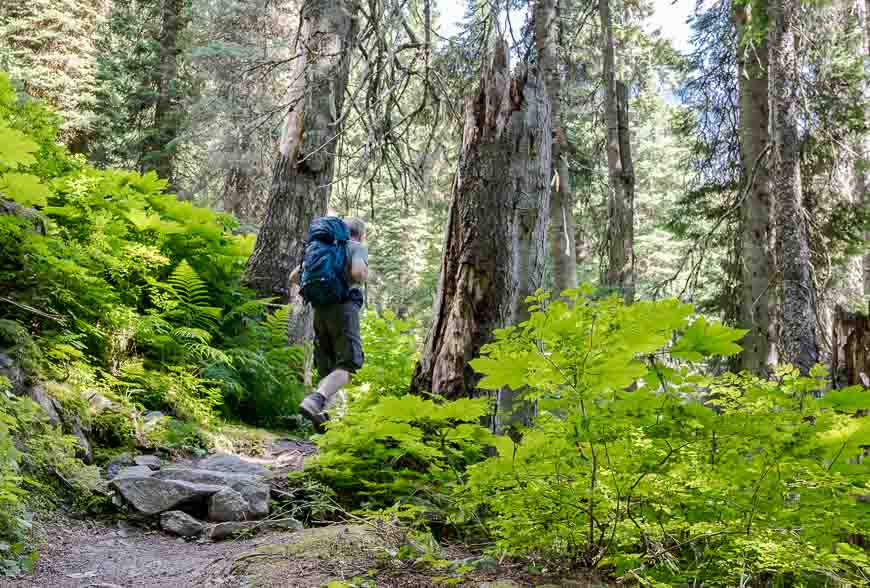 The start of the Hermit Trail hike